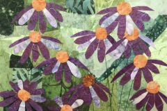 purple-cone-flowers-Kinnick