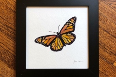 Monarch-Butterfly-framed